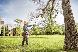 Professional Tree Removal and Landscaping Services in Morristown, IN